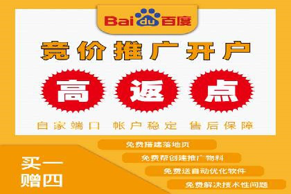 某电商平台充值返点活动用户行为分析